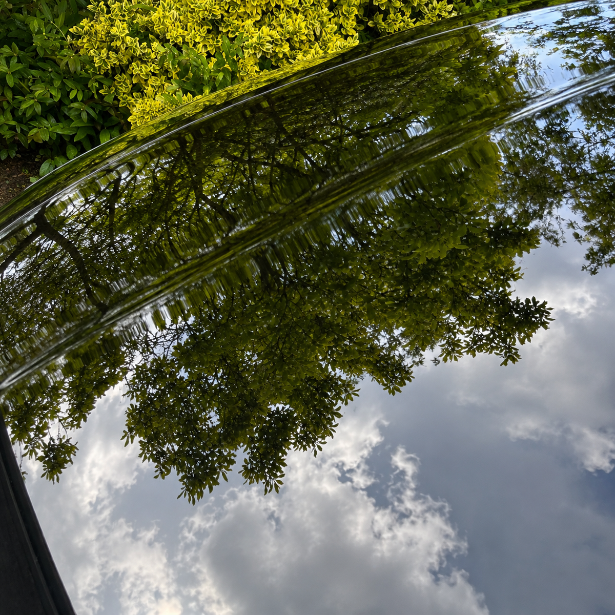 Finished car deep gloss result